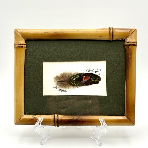 Feather art costa - feather,